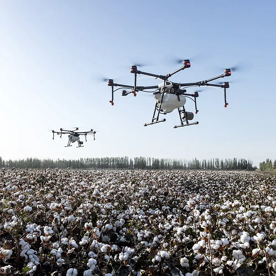 twee drones boven een veld met katoenbollen