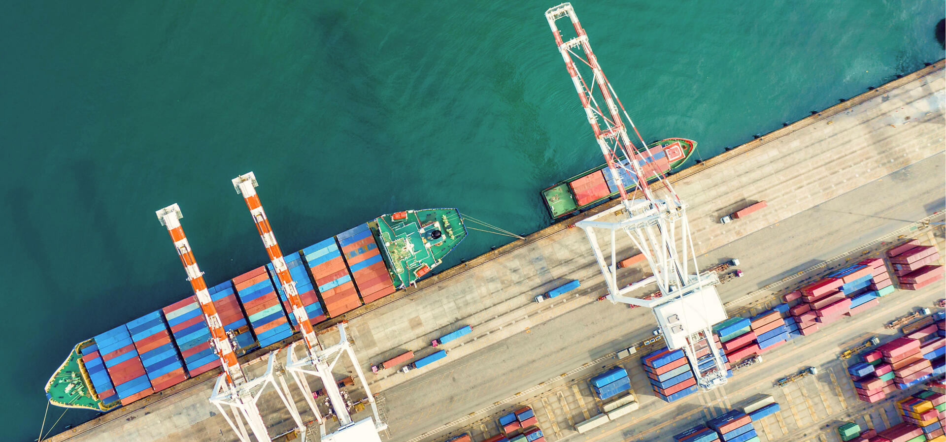 header_specialist_internationale_havenlogistiek.jpg